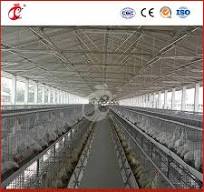 Proveedor de casas para gallinas ponedoras Bestchickencage de China,  tratamiento de superficie galvanizado en caliente personalizado OEM,  configuración de jaula para ponedoras tipo A, gallineros, ...