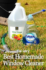The Best Window Cleaner Ever Like Ever Window Cleaning Tips Window Cleaner Homemade Cleaning