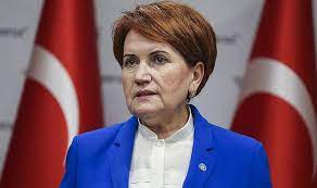 İyi parti adıyla siyasi parti kuran meral akşener kimdir? Meral Aksener Den Iyi Parti De Yasanan Krize Karsi Hamle