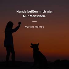 Warren buffett ist einer der reichsten menschen der welt. Zitate Von Marilyn Monroe 215 Zitate Zitate Beruhmter Personen