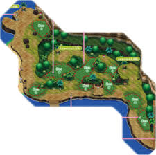 Focus Sash | Pokémon Wiki | Fandom