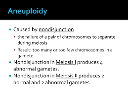 Chapter 15 The Chromosomal Basis Of Inheritance Ppt Download Meiosis is composed of two rounds of cell division, namely meiosis i & meiosis ii. the chromosomal basis of inheritance