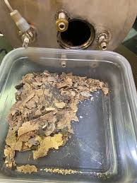 Do you need the best coffee machine descaler (solution)? On The Fence About Descaling Your Espresso Machine See Here