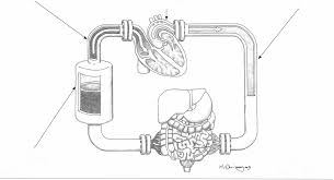 Emergency Department Resuscitation of The Critically Ill