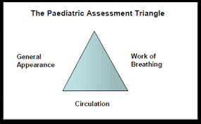 Image result for Pediatric Assessment Triangle