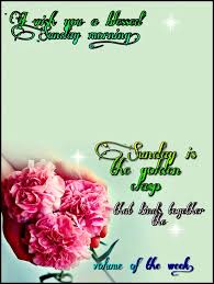 Check spelling or type a new query. 200 Happy Sunday Blessings Images And Quotes Positive Thoughts Quotes