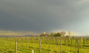 Gewitter Zieht Auf Am Nussberg Gewitter Sommer Wien