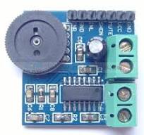 Amplifier Board – diymore