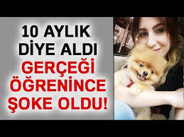 Internetten 10 Aylik Diye Aldi Gercegi Ogrenince Soke Oldu Youtube
