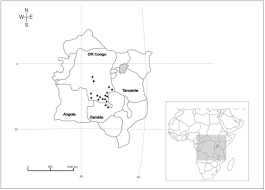 Image result for Stomatanthes