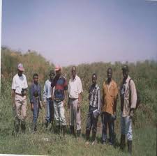 Image result for Bridelia brideliifolia