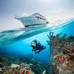 SCUBA Boat Dive event image