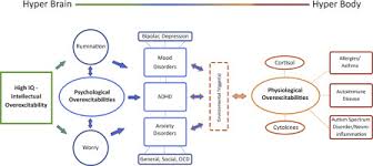 High Intelligence A Risk Factor For Psychological And