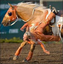 This Is Krista Graham Of The Graham Sisters Trick Riding Team Image Taken By Ryan Jackson For The Edmonton Journal Trick Riding Horses Beautiful Horses
