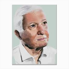 David Attenborough Canvas Print by KimmiDrawsThings