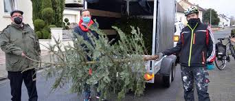 Wann der weihnachtsbaum bei uns wegkommt, richtet sich nach den terminen der müllabfuhr. 40 Weihnachtsbaume Abgeholt Tip Verlag Lampertheim