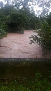 Penebangan hutan menyebabkan berlakunya peningkatan suhu kawasan setempat kerana tiada lapisan kanopi yang menghalang pancaran. Hutan Tadahan Hutan Merupakan Satu Kawasan Yang Menempatkan Pelbagai Jenis Tumbuhan Dan Haiwan Selain Itu Hutan Juga Boleh Dijadikan Sebagai Pengimbang Ekosistem Dunia Dengan Merendahkan Kadar Suhu Hutan Menyerap Air Hujan Yang