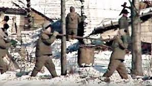 Coreea de nord populații istorice și prognozate ambele sexe pentru perioada 1950 2100 în milioane populația coreea de nord de la 1 iulie a anului indicat sursă divizia onu pentru populație. Coreea De Nord Isi Dezvolta Sistemul De Lagare Unde Detinutii Sunt Supusi La Munca Fortata Si Tortura Hotnews Mobile