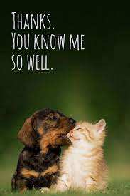 2 Free Months Of Audible Or A 10 Credit Cute Animal Quotes Cute Animals Animals