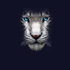 Los tigres blancos son una especie que no estamos muy acostumbrados a ver, pero destacan por ser realmente descargar libros gratis en formatos pdf y epub. Tigre Blanco Ojos Azules Animales Hombre Camiseta Xs 5xl Ebay