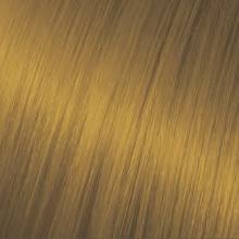 Vivitone Prisma Hair Color 2 09oz Beautycentury Com