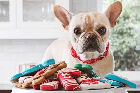 Petco pet stores in colorado springs, co offer a wide selection of top quality products to meet the needs of a variety of pets. Stuff A Stocking At Petsmart Colorado Springs Powers