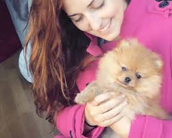 Sabías que a los perros solo les falta hablar?