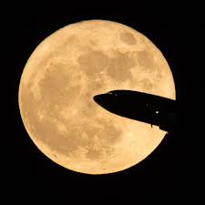 In palmistry, every hand is stated to fit into a specific shape, straightened with among the four aspects: Tonight S Orange Hued Full Moon Known As The Buck Moon Comes With A Warning Aws For Wp