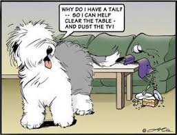 Old English Sheepdog Cartoon Google Search Old English Sheepdog English Sheepdog Old English Sheepdog Puppy Black and white images of dogs for coloring, 100 coloring pages! old english sheepdog cartoon google
