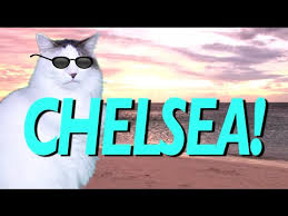 Happy Birthday Chelsea Epic Cat Happy Birthday Song Youtube