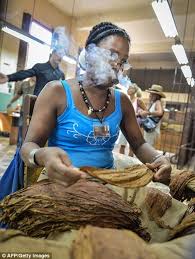 Image result for images cigar factories