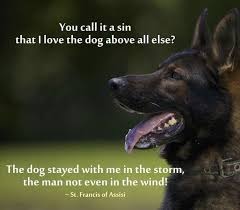 Nationalloveyourpetday Is It A Sin That I Love The Dog Above All He Stayed With Me In The Storm Man German Shepherd Quotes German Shepherd Dogs Dog Quotes