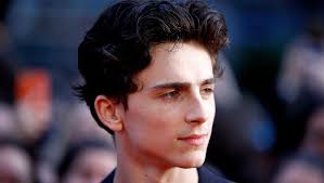 This timothée chalamet fanblog has been in business since december 2017 :) followers: Timothee Chalamet In Beautiful Boy Chalamania Der Spiegel