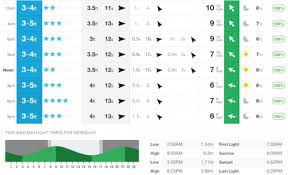 Learn How To Read A Surf Report For Beginners Cornish Wave