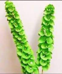 Paper Flowers Bells Of Ireland Shell Flower Paper Flowers Diy Easy Paper Flowers Paper Flowers