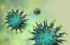 Le conseil fédéral a présenté mercredi une stratégie en trois phases pour assouplir les mesures contre le coronavirus. Tcvymaydo3rrhm