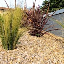 Maybe you would like to learn more about one of these? L Interet Du Paillage Au Jardin