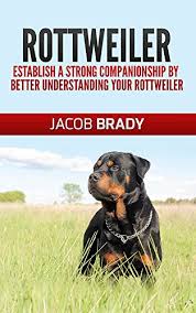 Use features like bookmarks, note taking and highlighting while reading raising and training a rottweiler puppy: Rottweiler Training Guide 101 Establish A Strong Companionship By Better Understanding Your Rottweiler Dog Training Puppy Training Housebreaking Guard Dog Kindle Edition By Brady Jacob Crafts Hobbies Home Kindle Ebooks