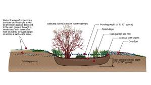 E97aecc4fe71d40d33489c876fd55ac3 Jpg 700 394 Rain Garden Sustainable Landscaping Garden Help