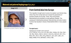 The Mitochondrial Dna Mtdna Haplogroup H Hv Dna Genetics Dna History Human Family Tree