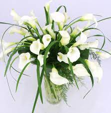 Check spelling or type a new query. Calla Lily Peace Bouquet Miami Palm Beach Fl Flowers Sympathy