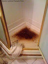 What To Do After Sewage Backup - How To Clean Up Sewage Backup