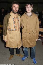 The gallagher brothers' relationship has been even more frosty than usual in recent weeks, with liam gallagher, 44, regularly sending vague insults and threats in the direction of his older brother, noel. Liam And Noel Gallagher Are Speaking After Their Children Encouraged Them To Bury The Hatchet Healthyfrog