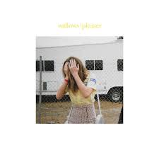 The sleeve design is just the basic blue and white design, but i peeled off the sticker that says wallows: Pleaser Wallows Music Album Cover Music Album Covers Song Artists