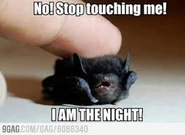 Cute & funny animal memes is all about the funny comments animals have to say, don't stay to long you may get a. Animal Memes Funny Clean