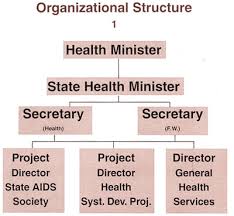 Organizational Structure Maharashtra State Health Status