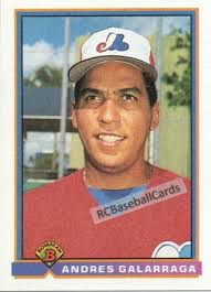 1991 Expos Baseball Trading Cards