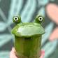Frog Friend Trinket Jar Clay Hand Building Class