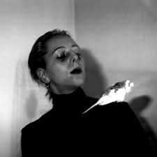 The 2016 Animals Among Us Exhibition