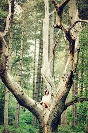 Tree Porn | megan loves trees